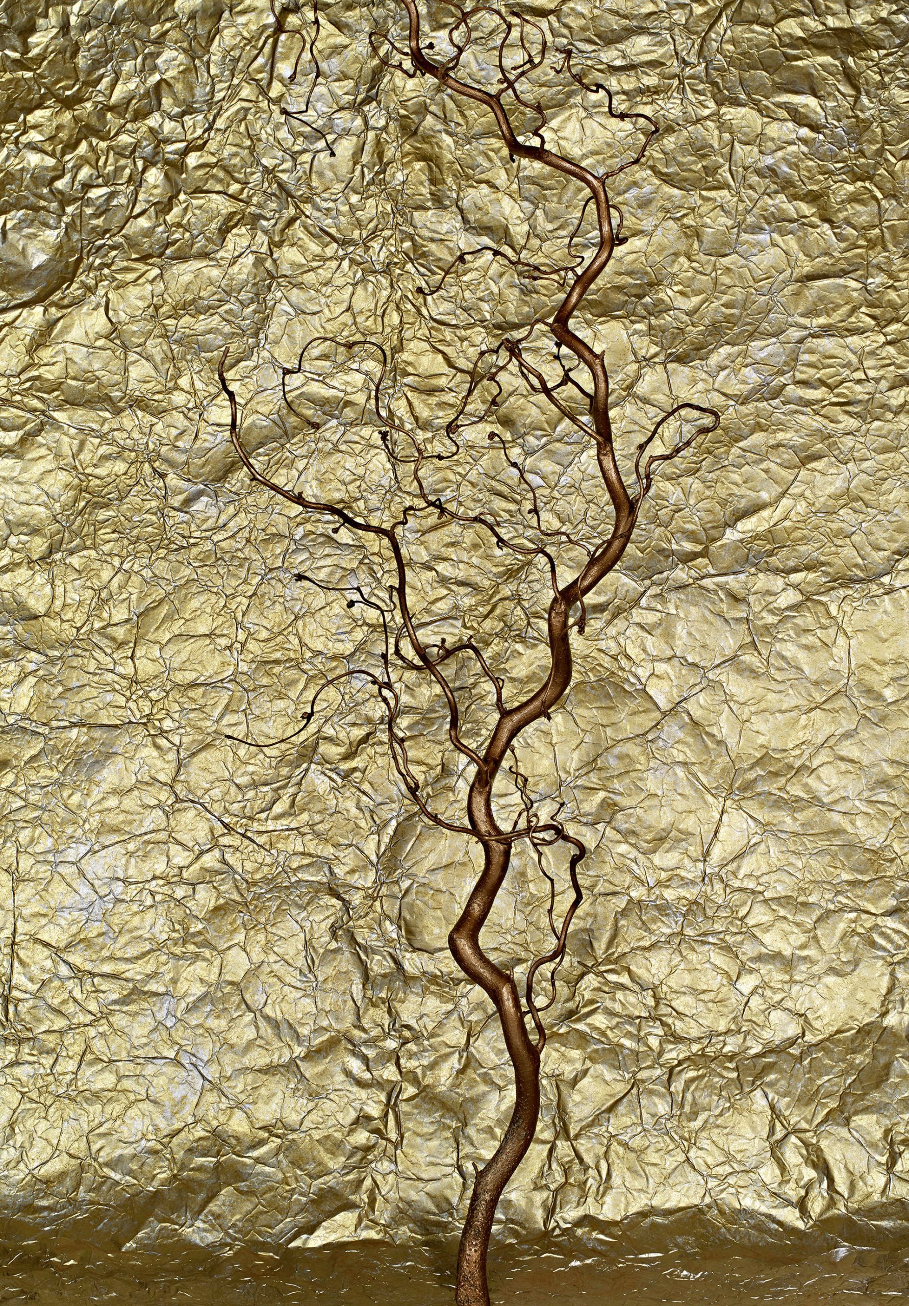 West Bund Art & Design